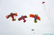 RIMINI 2012 - 035